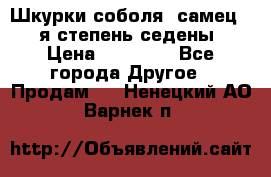 Шкурки соболя (самец) 1-я степень седены › Цена ­ 12 000 - Все города Другое » Продам   . Ненецкий АО,Варнек п.